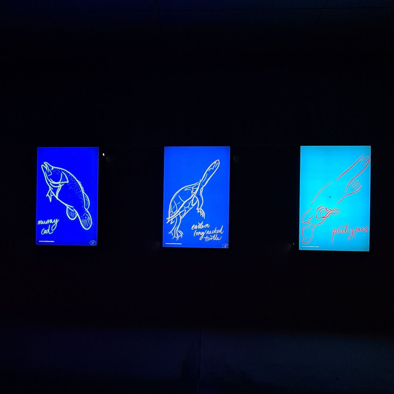 made-to-order lightbox