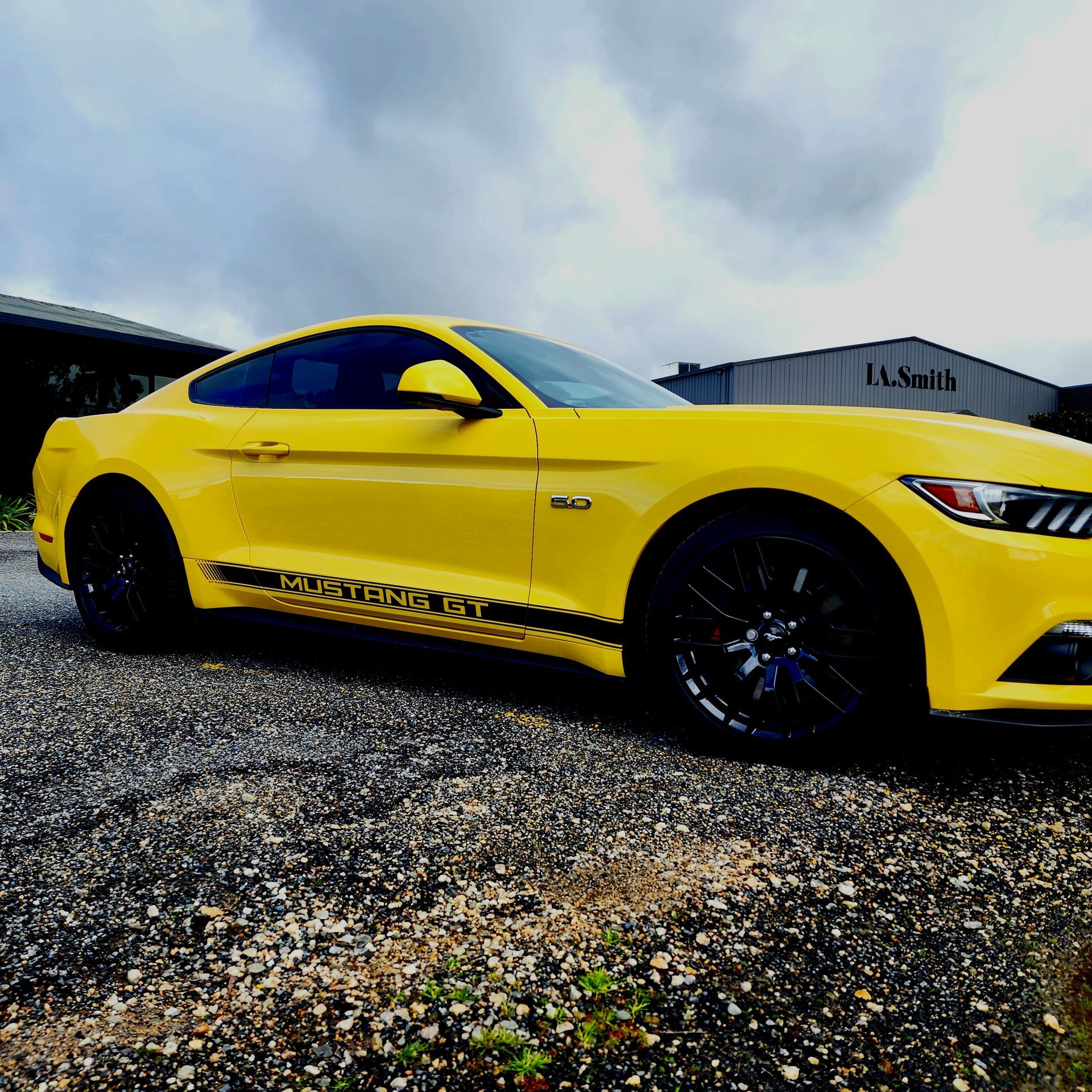mustang lines