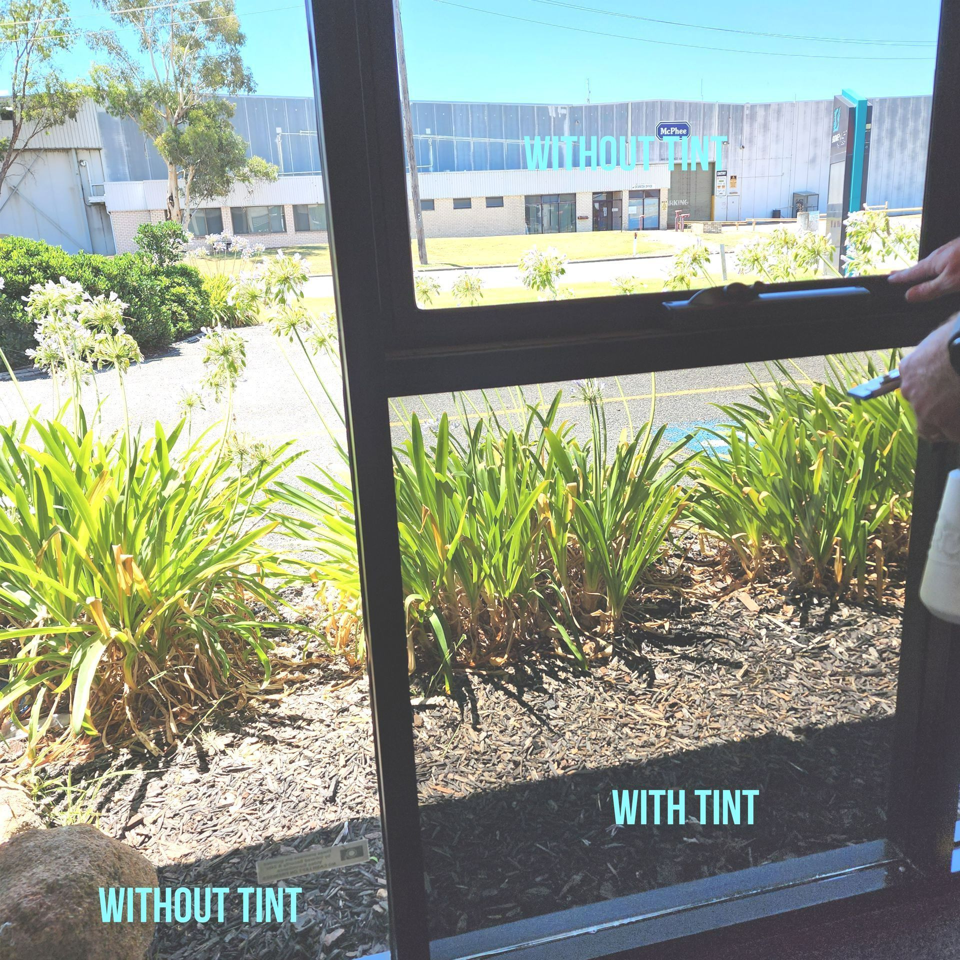 busines window tint
