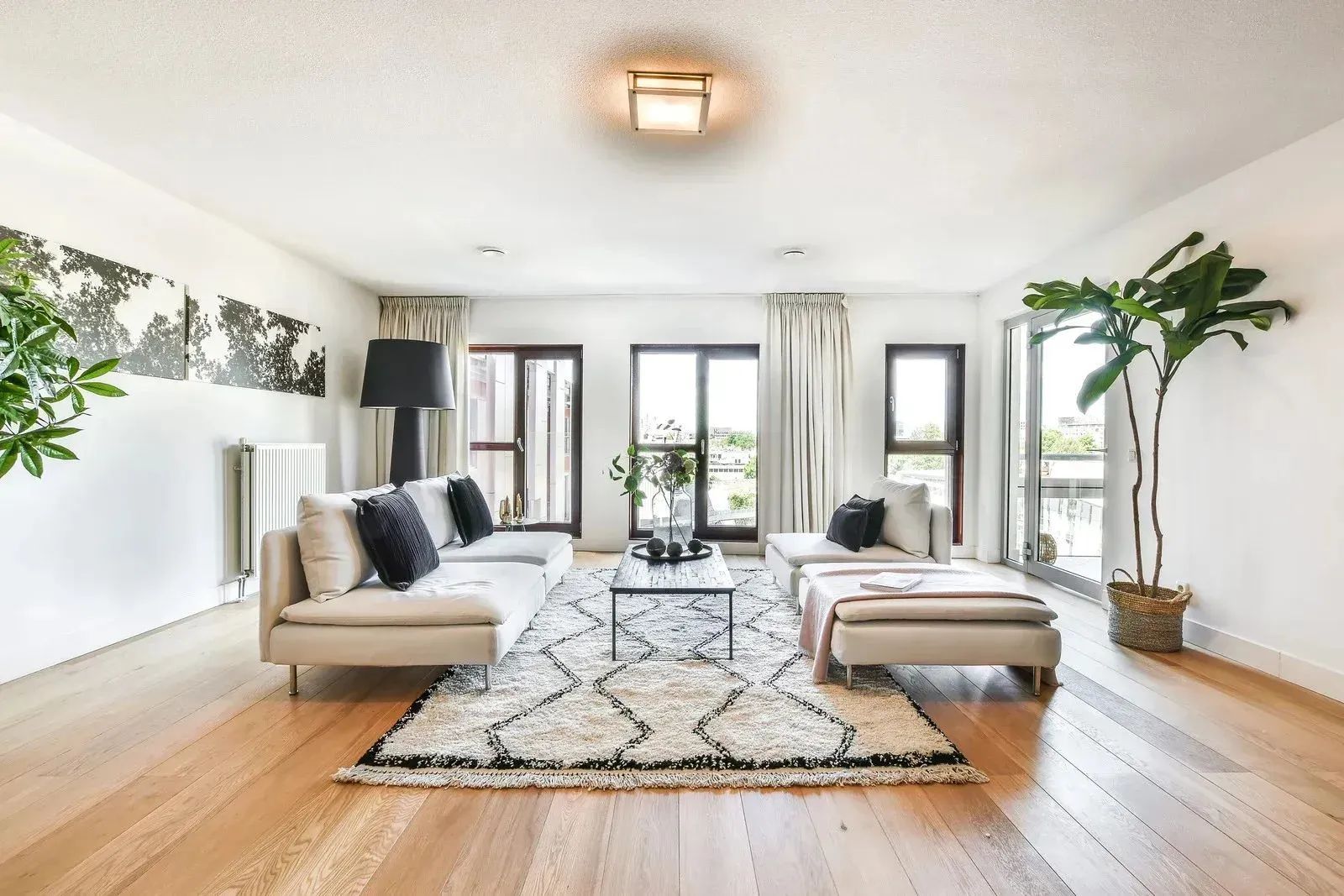 Bright modern living room with white sofa, patterned rug, large windows, and plants