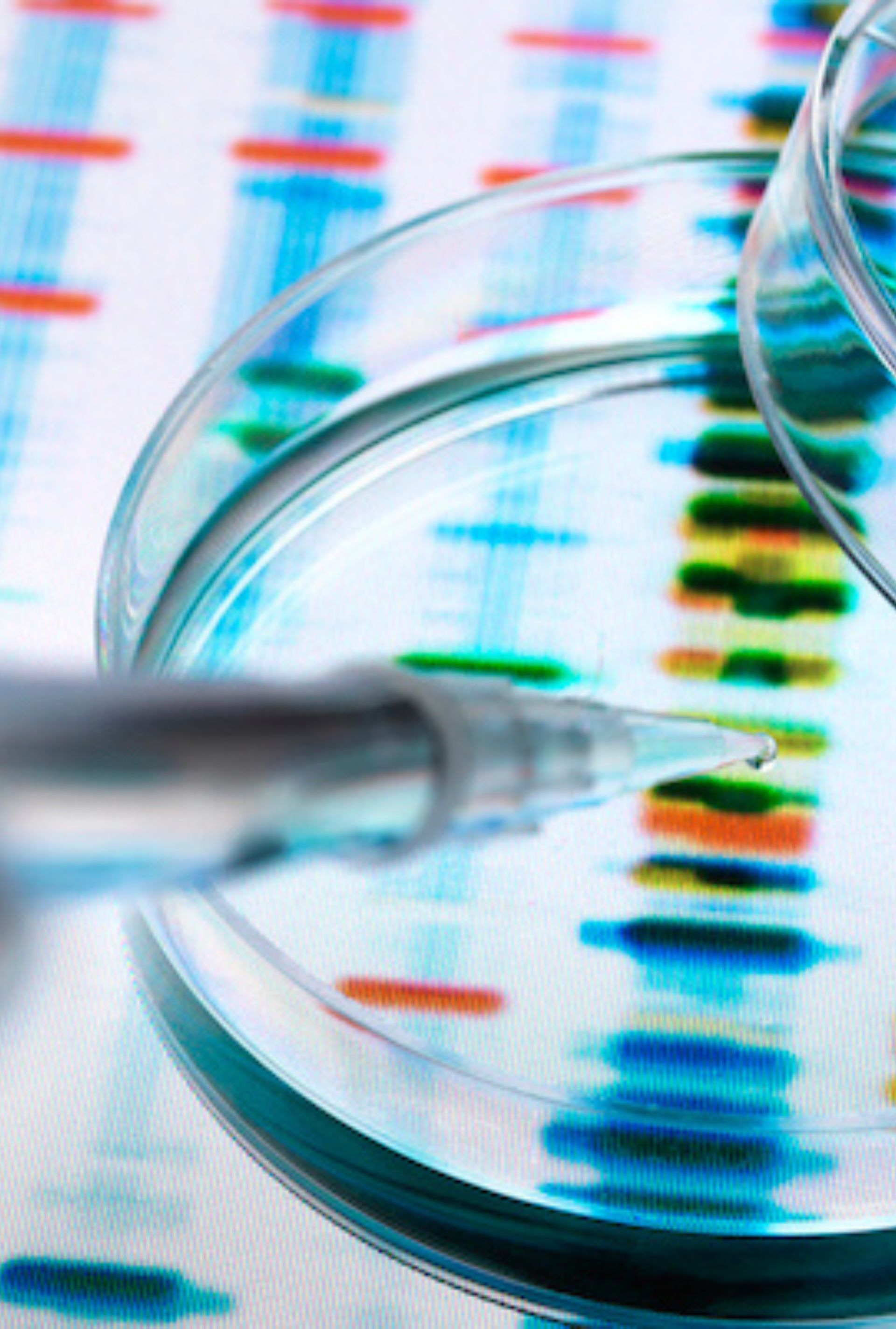 A petri dish with a pipette, over a blurred background of a DNA gel electrophoresis result, showing scientific research.