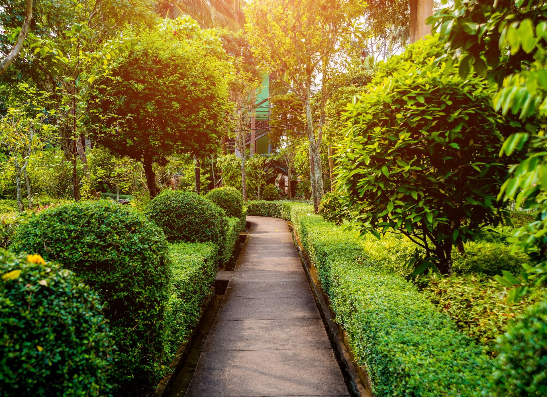 Stone pathway through a garden lined with trimmed green bushes and trees, bright sunlight.