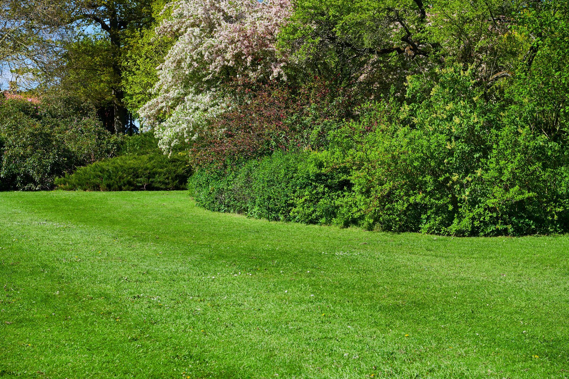 Person mowing a patchy green lawn with a green lawnmower in a yard.
