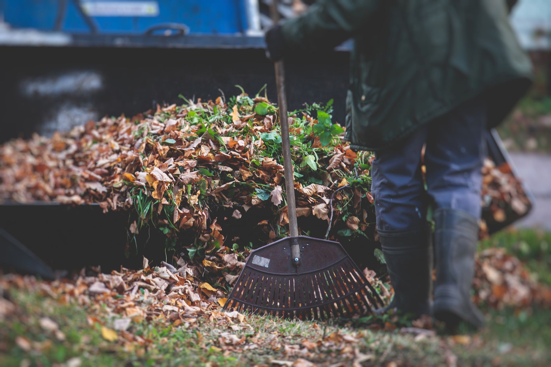 Person raking leaves into a truck bed. Brown and green leaves. Green jacket and boots.