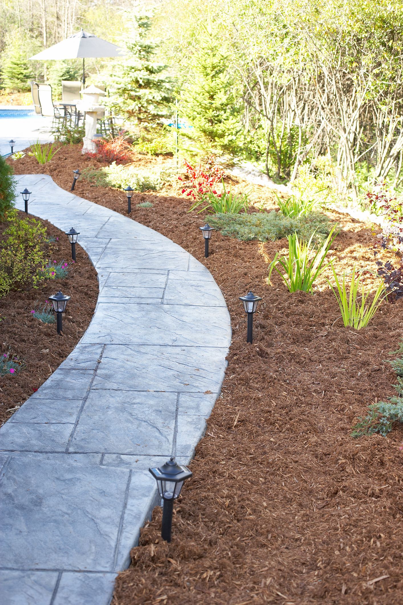 Curving concrete pathway with landscape lighting, bordered by brown mulch and greenery.