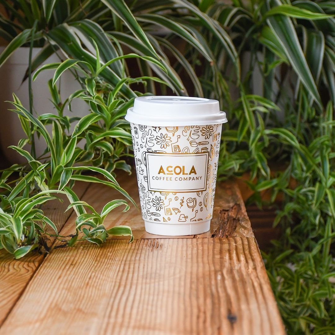 Acola Coffee Company branded to-go cup surrounded by green plants Columbia MO