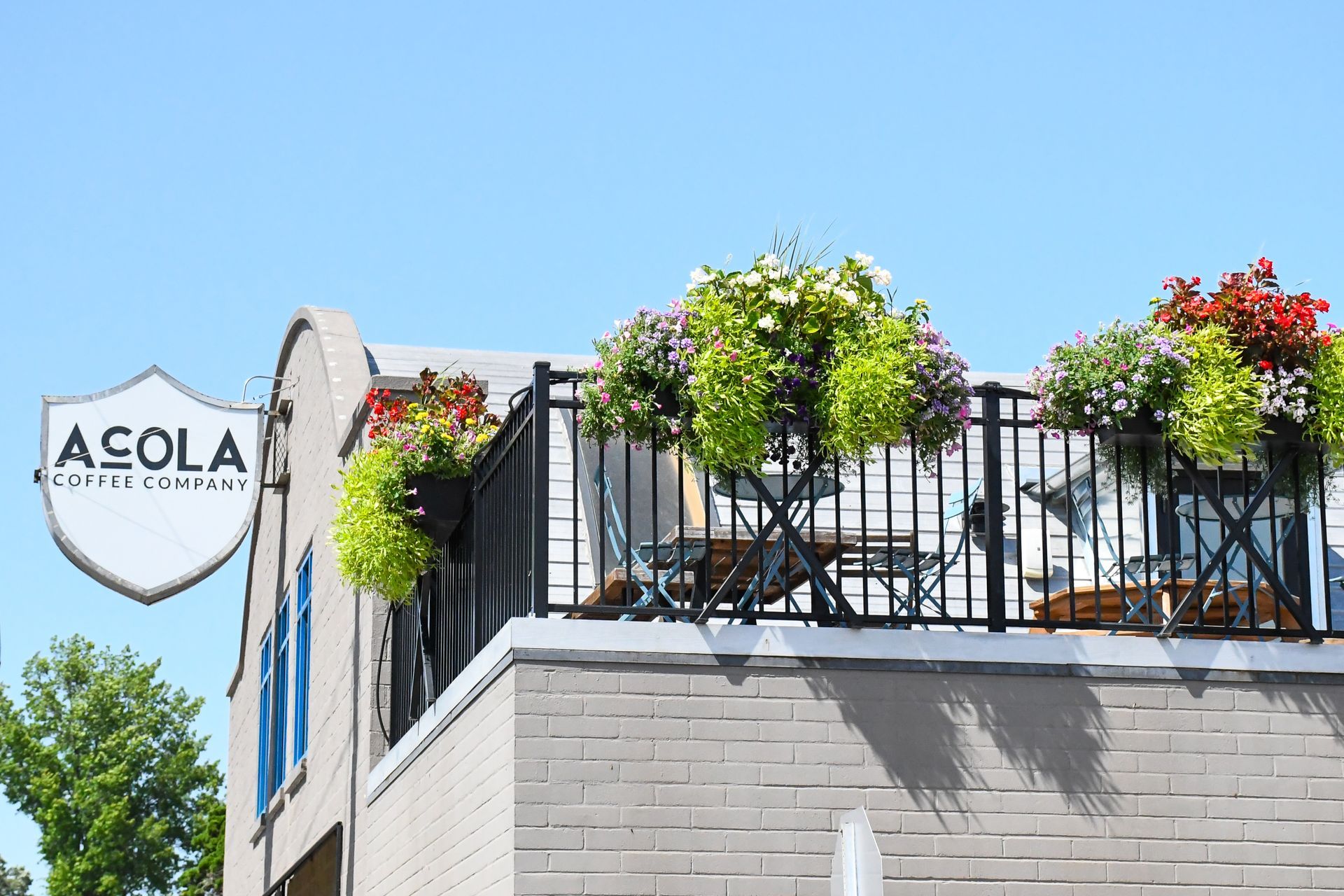 Acola Coffee Company building exterior with logo sign and flower-covered balcony in Columbia MO North Village Arts District