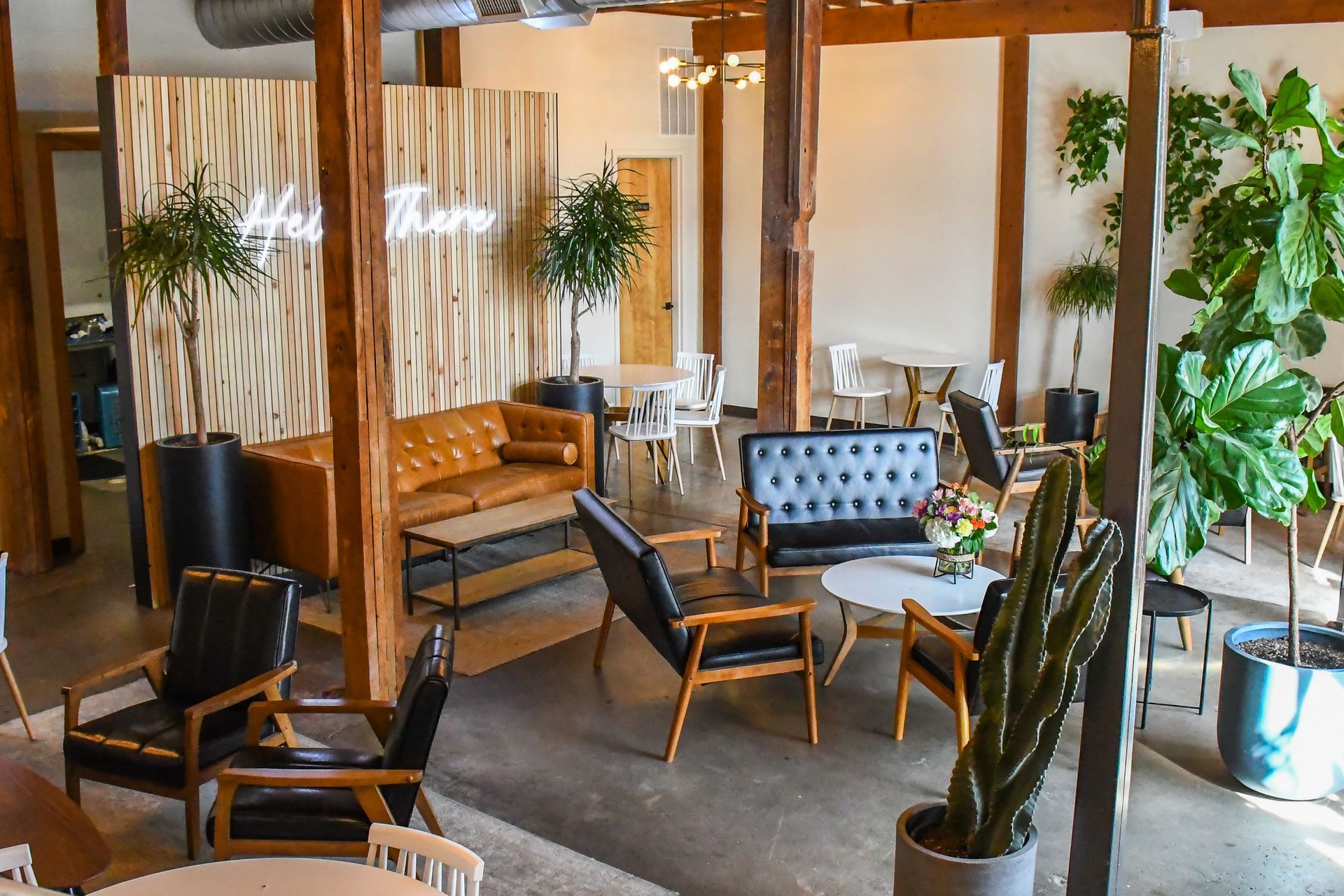 Cozy interior seating area with plants and wooden accents at Acola Coffee Company Columbia MO