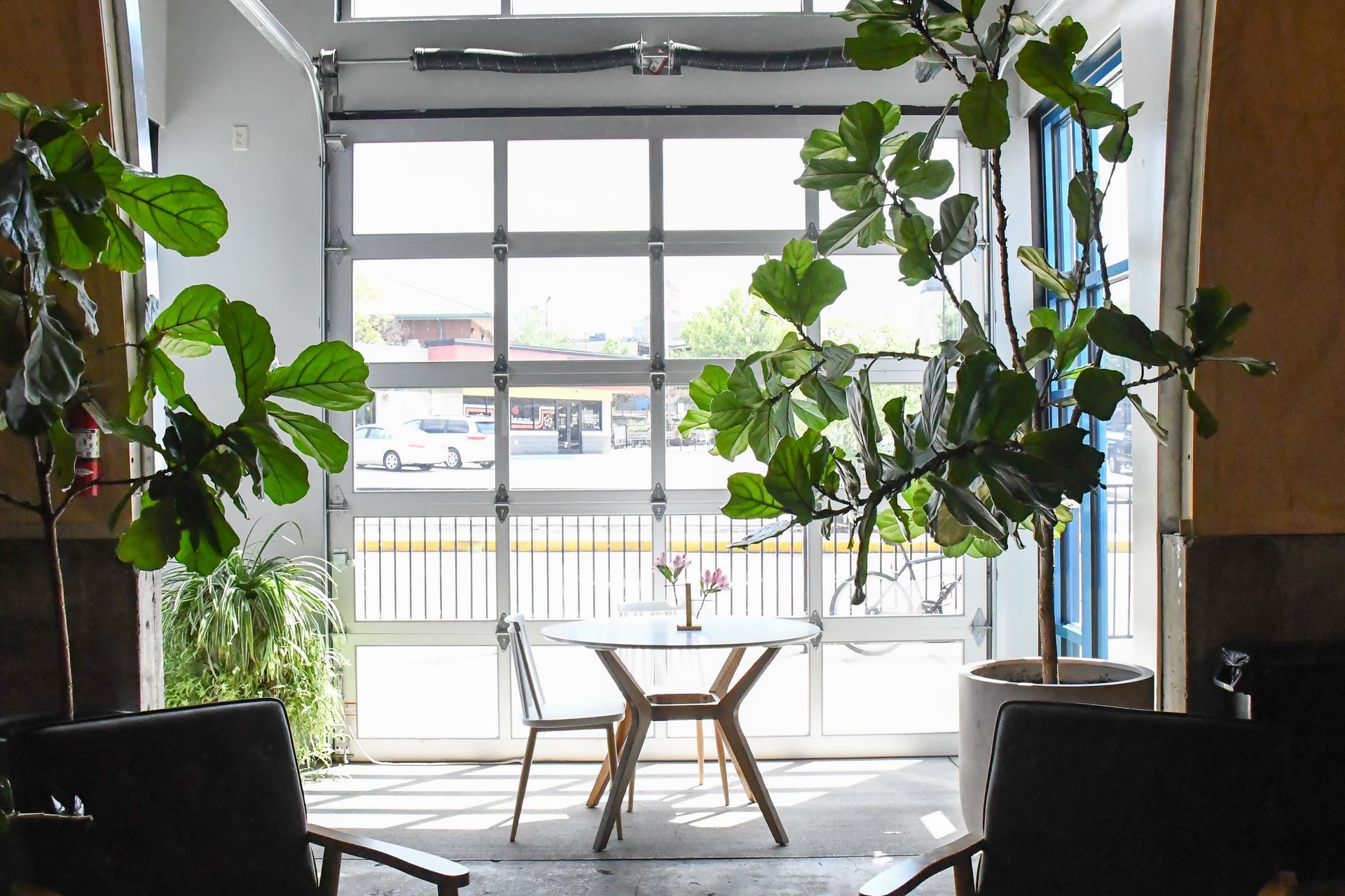 Level one private event space with plants and natural light at Acola Coffee Company Columbia MO