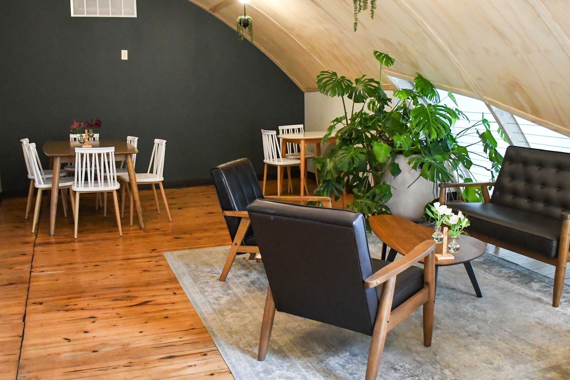 Hanging plants and natural wood decor inside Acola Coffee Company Columbia MO