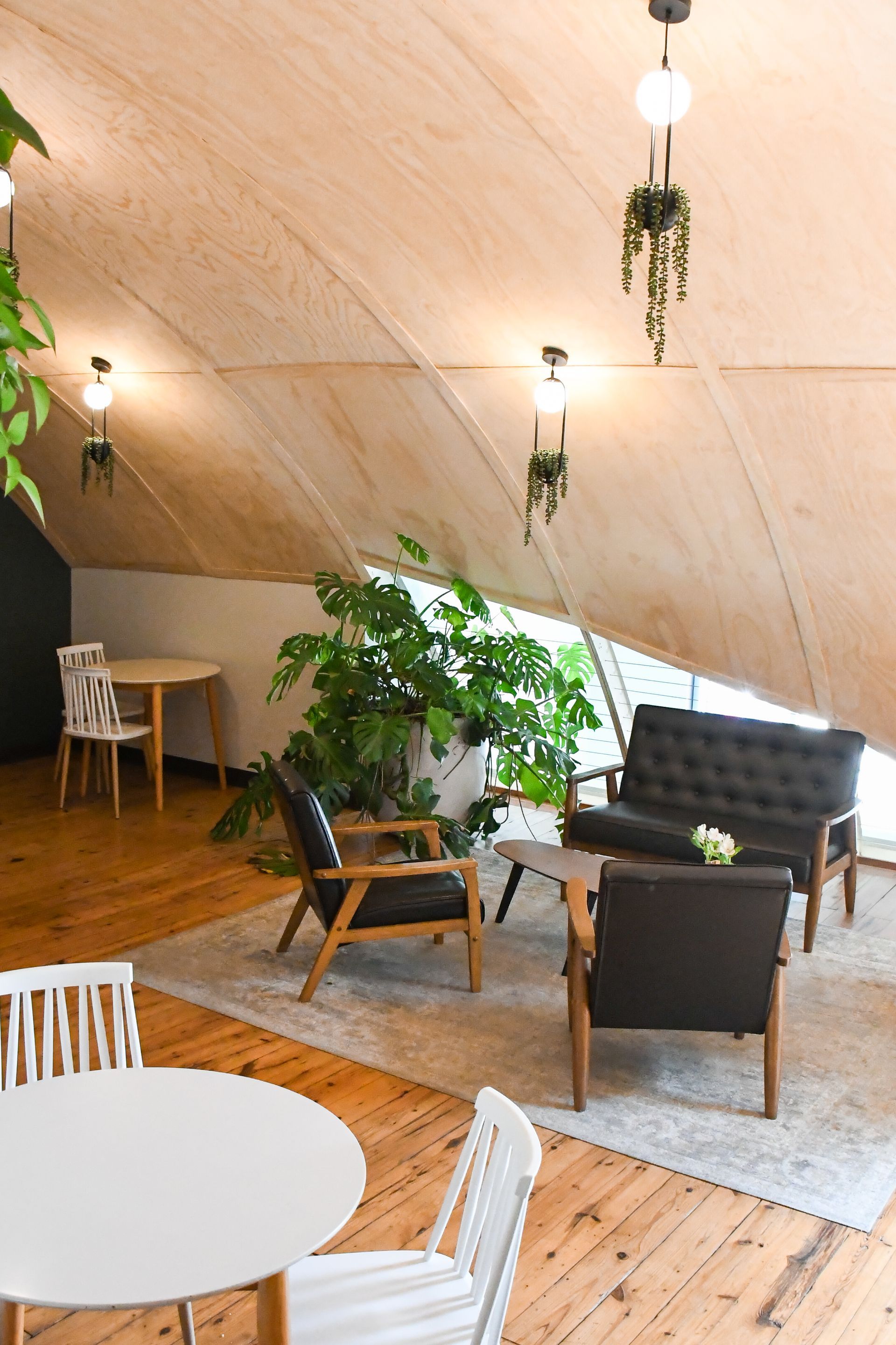 Interior pendant lighting and plant decor at Acola Coffee event space