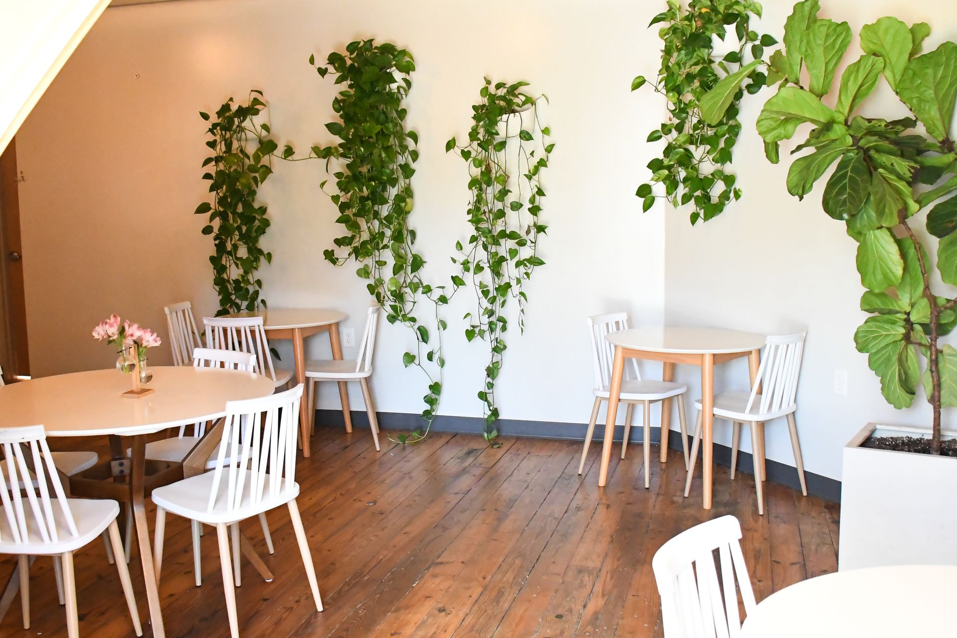 Private event space with comfortable chairs at Acola Coffee Company Columbia MO