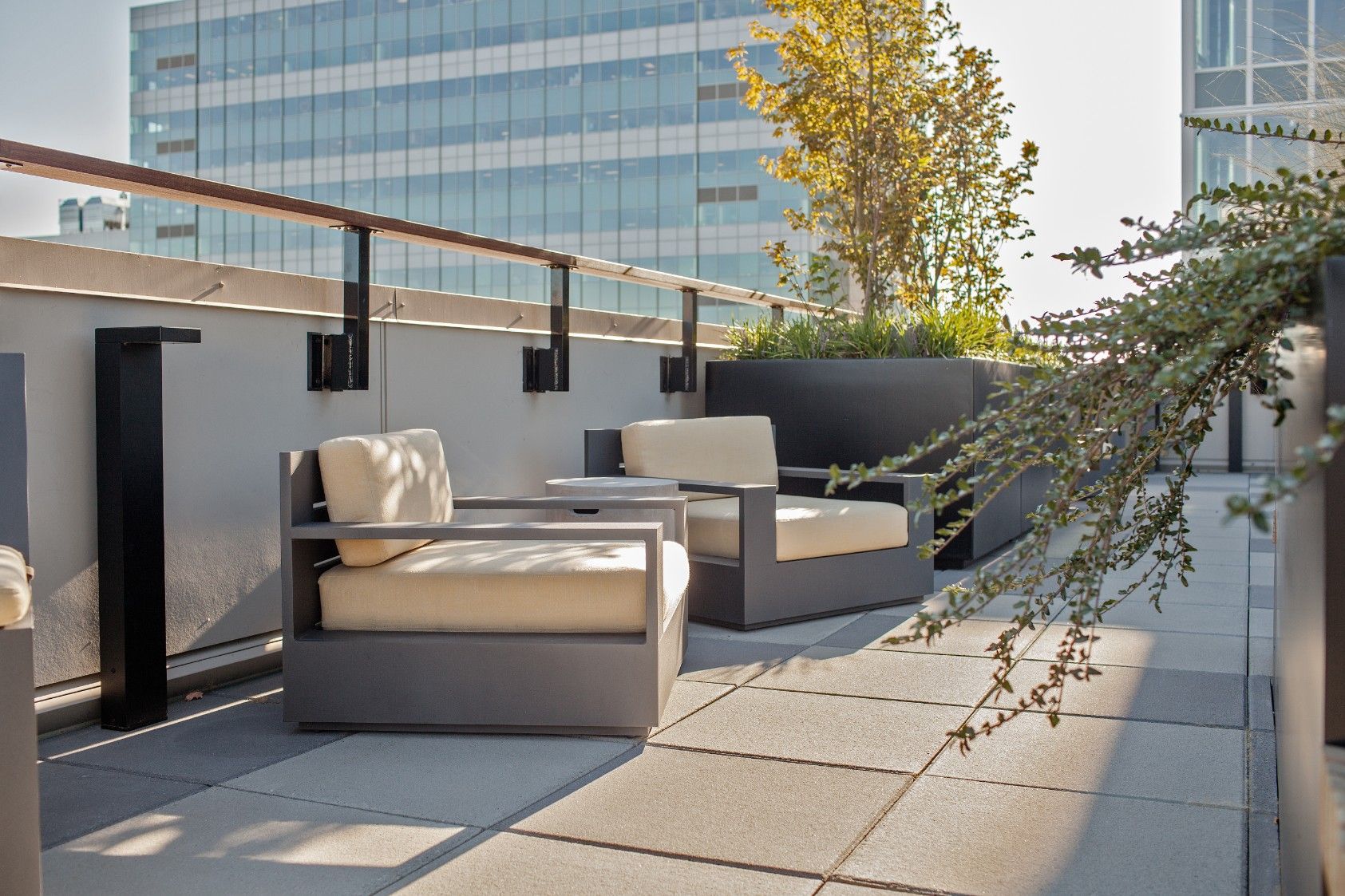 Rooftop patio with beige lounge chairs, potted plants, and city buildings in the background
