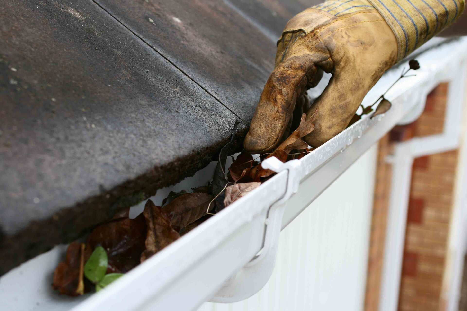 Cleaning The Gutter — McMinnville, OR — Mike’s Powerwashing LLC