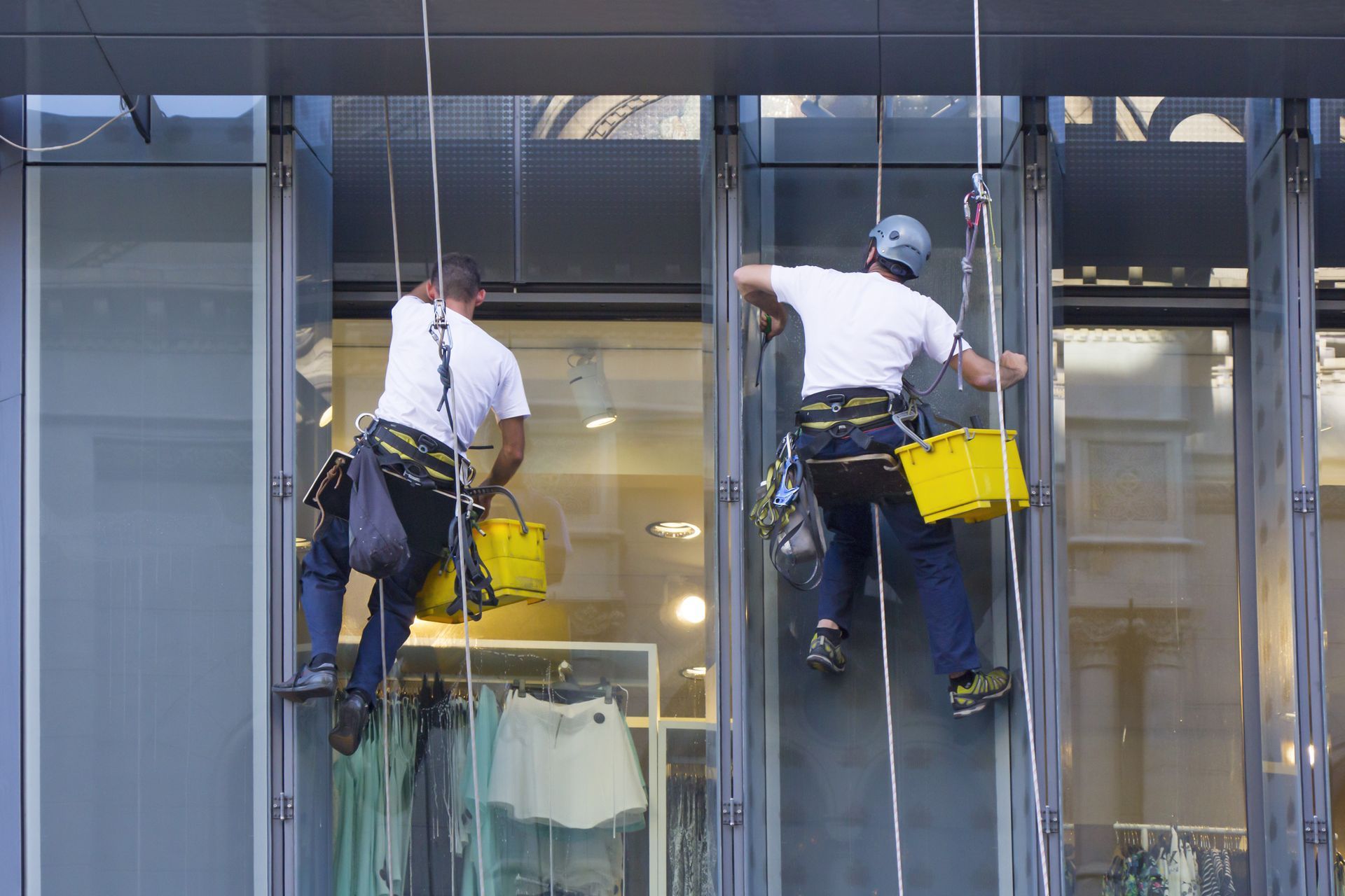 Two window washers in harnesses cleaning a tall building's exterior windows, each with a bucket and squeegee.