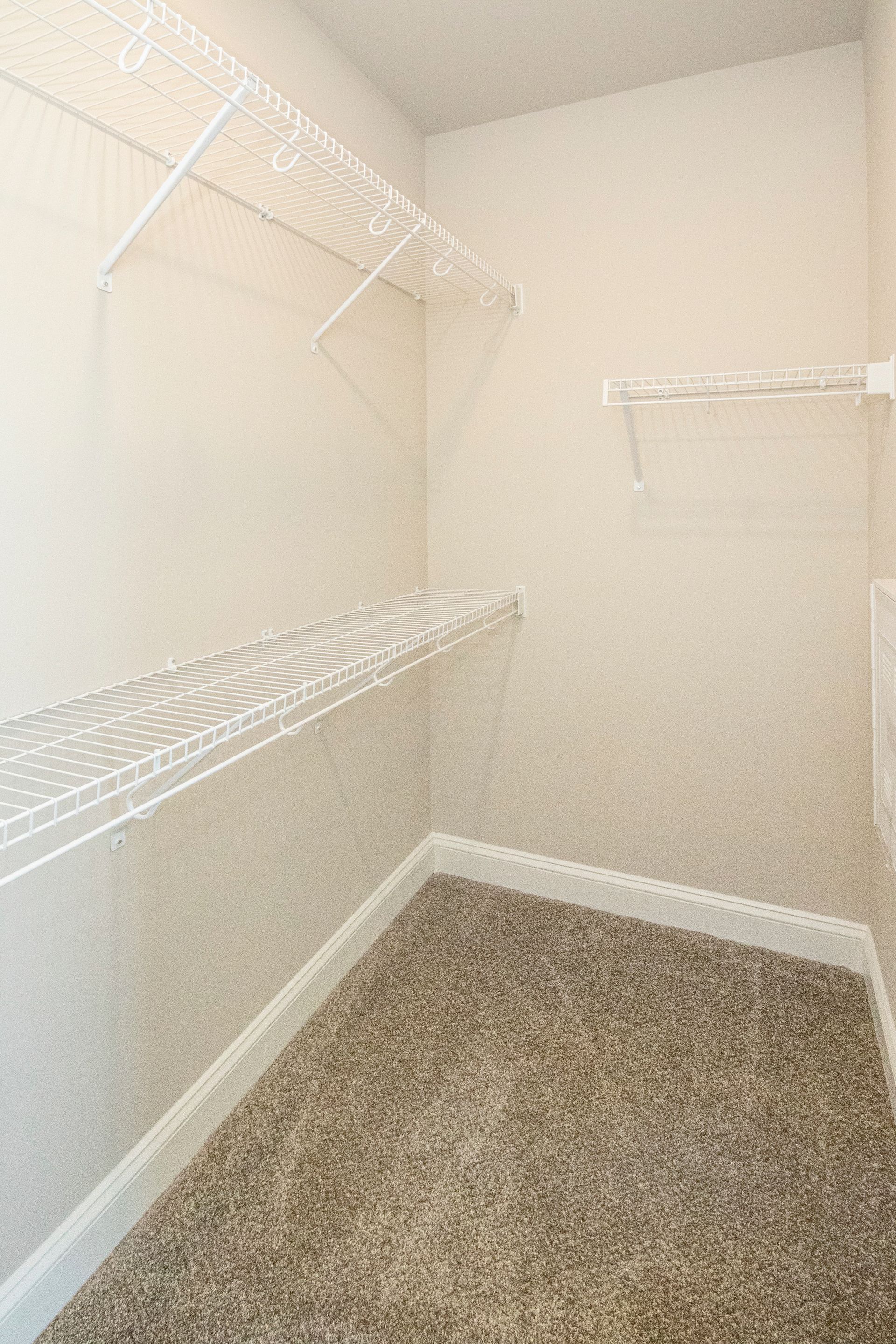 A walk in closet with a carpeted floor and white shelves.