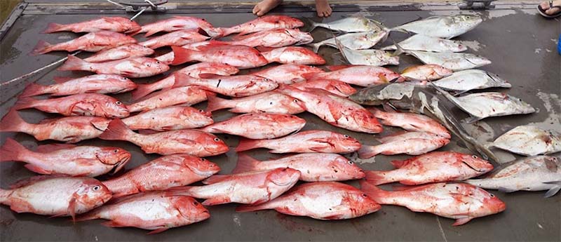Blownaway Fishing