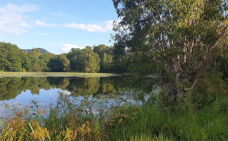 Cattana Wetlands