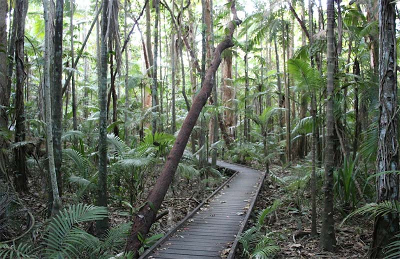 Centenary Lakes Nature Play Space