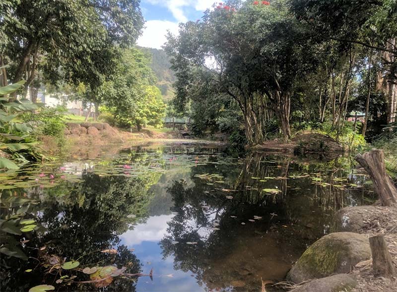 Forest Gardens Park