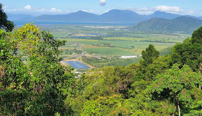 Henry Ross Lookout