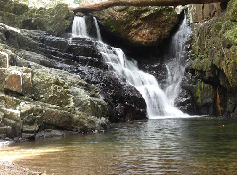 Stoney Creek