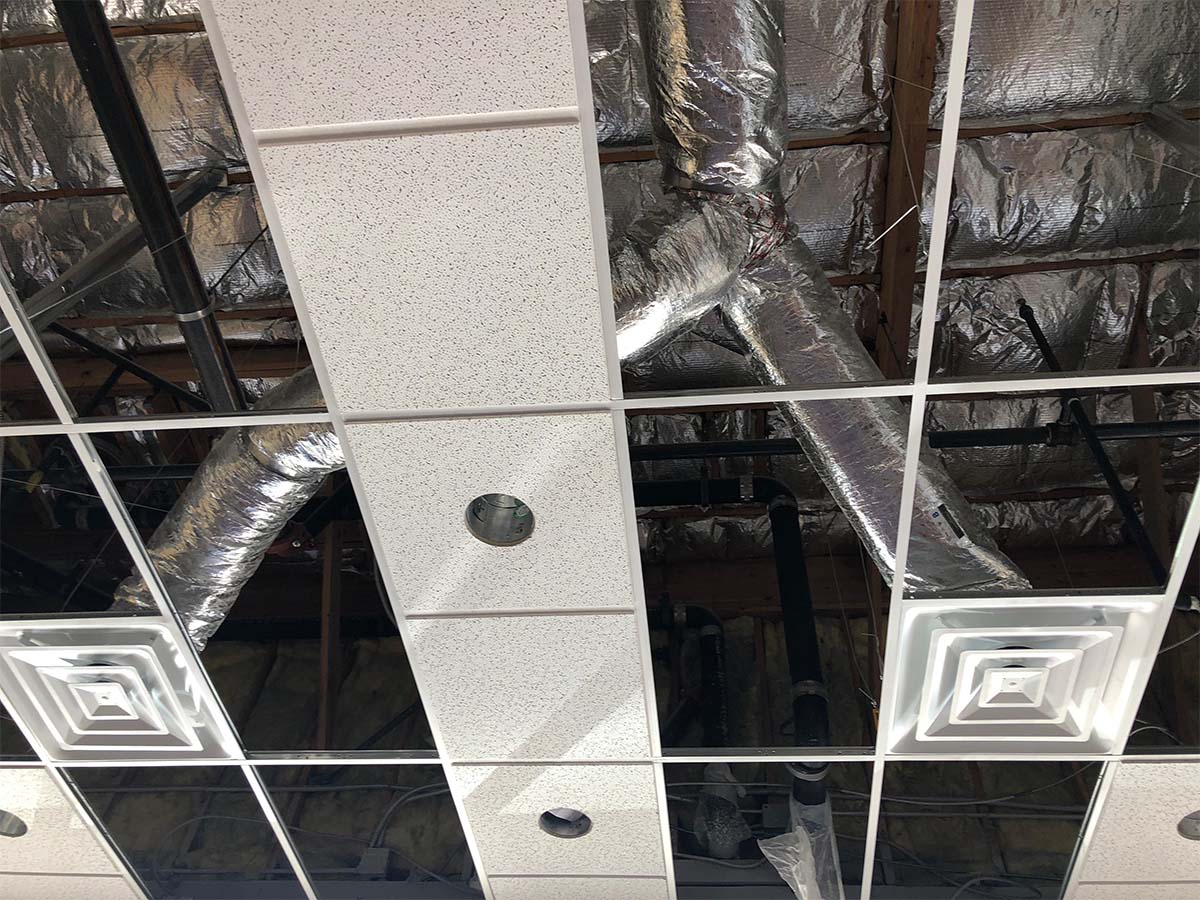 Suspended Ceiling Installed In A Cairns QLD Shop Fit-Out