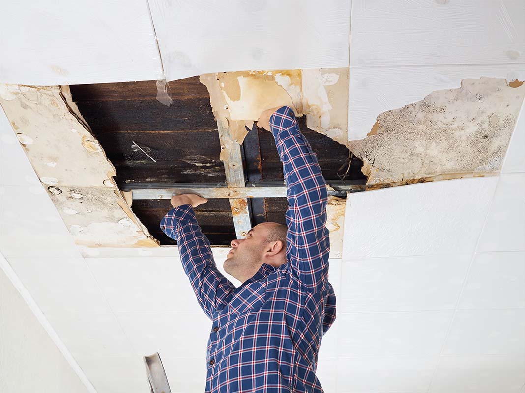 Water Damaged Ceiling In Cairns QLD Requiring An Emergency Plastering Service