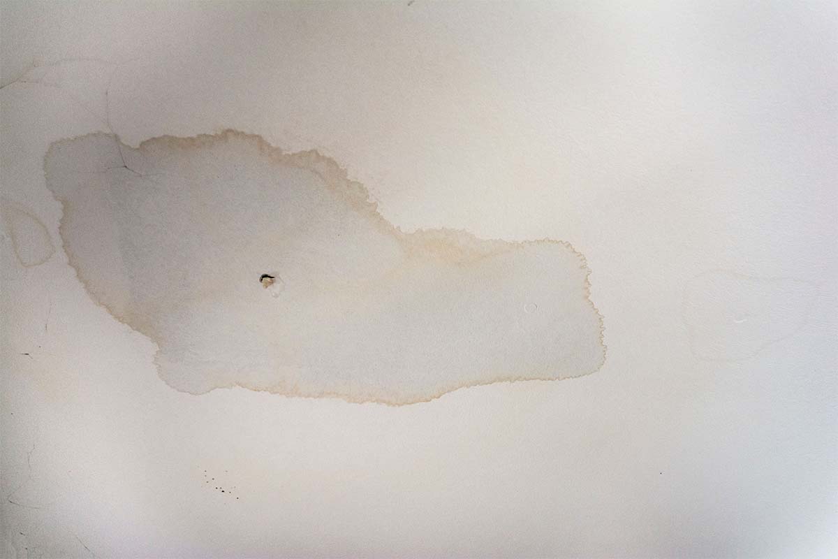 Water Damaged Plaster Gyprock Repairs In Kamerunga Cairns