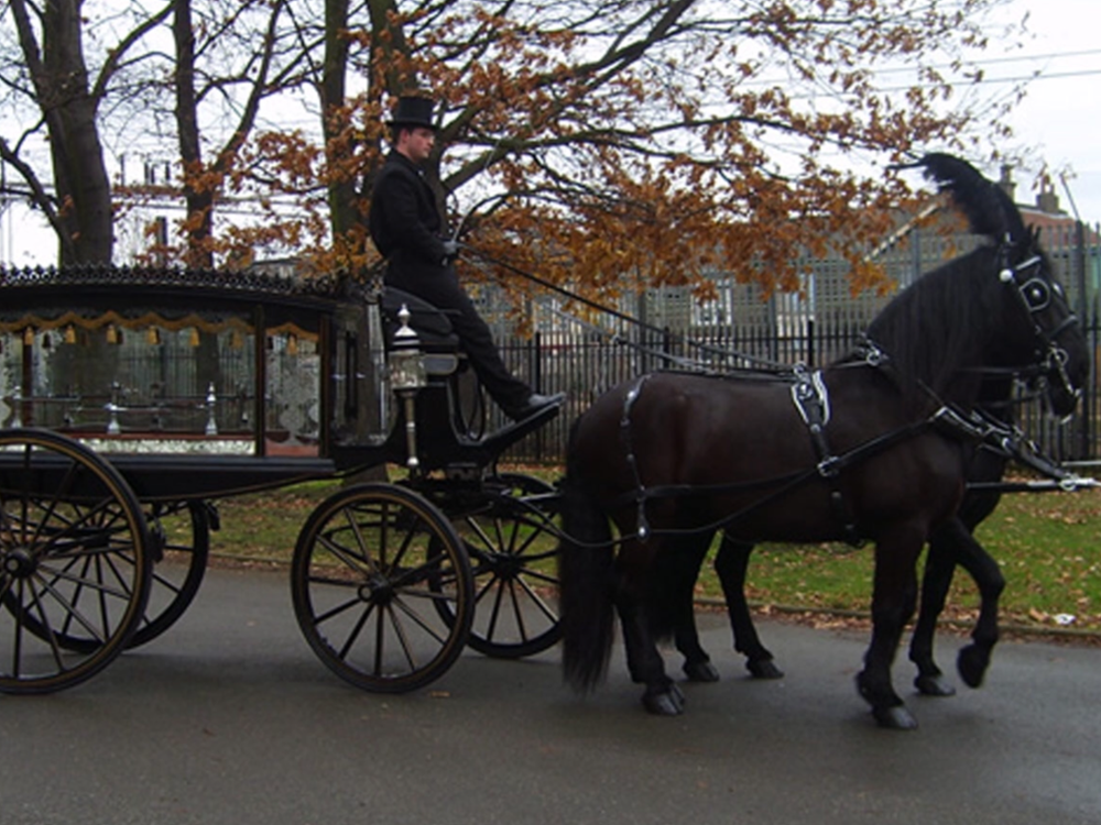 A horse drawn carriage with a man in the driver 's seat
