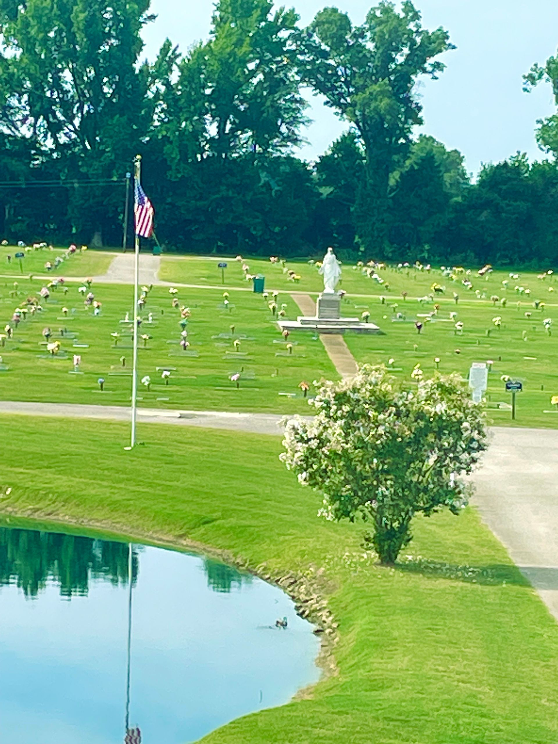Rawls Funeral Home Brownsville Tn - dit842v