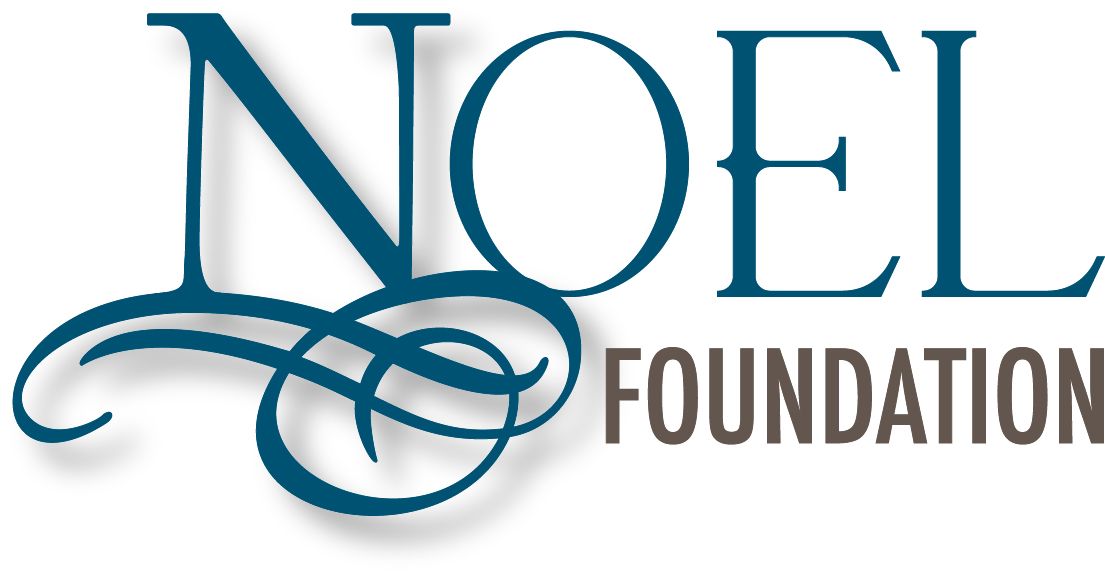 Noel Foundation logo in blue and gray with decorative swirls