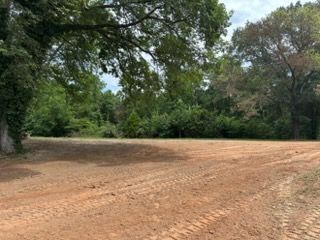 Open dirt clearing bordered by tall green trees under a cloudy sky