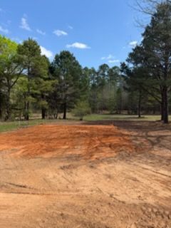 Dirt clearing in a pine forest under a blue sky, with tall trees surrounding the open area
