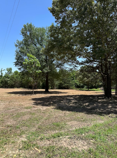 A field with trees and a blue sky in the background