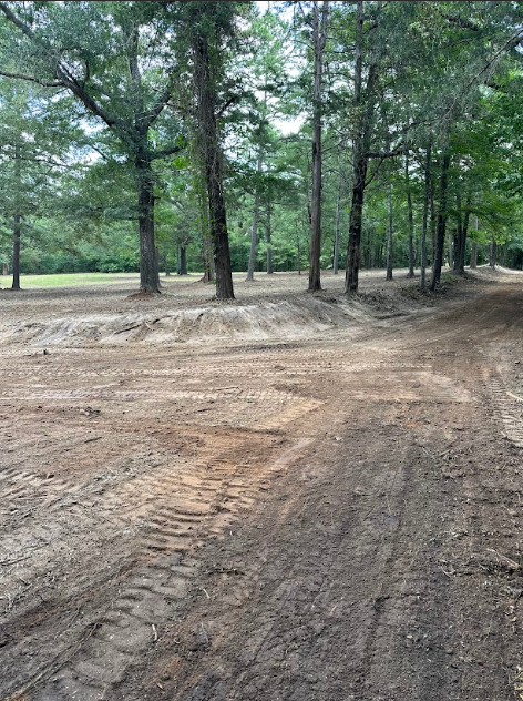 A dirt road in the middle of a forest