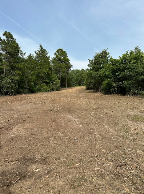 A dirt field surrounded by trees on a sunny day.