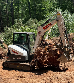 A Stihl chainsaw cutting through a mossy log in a forest, with wood chips flying.