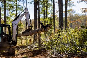 Excavator lifting a large tree trunk in a wooded area; felled branches and other trees are in the background.