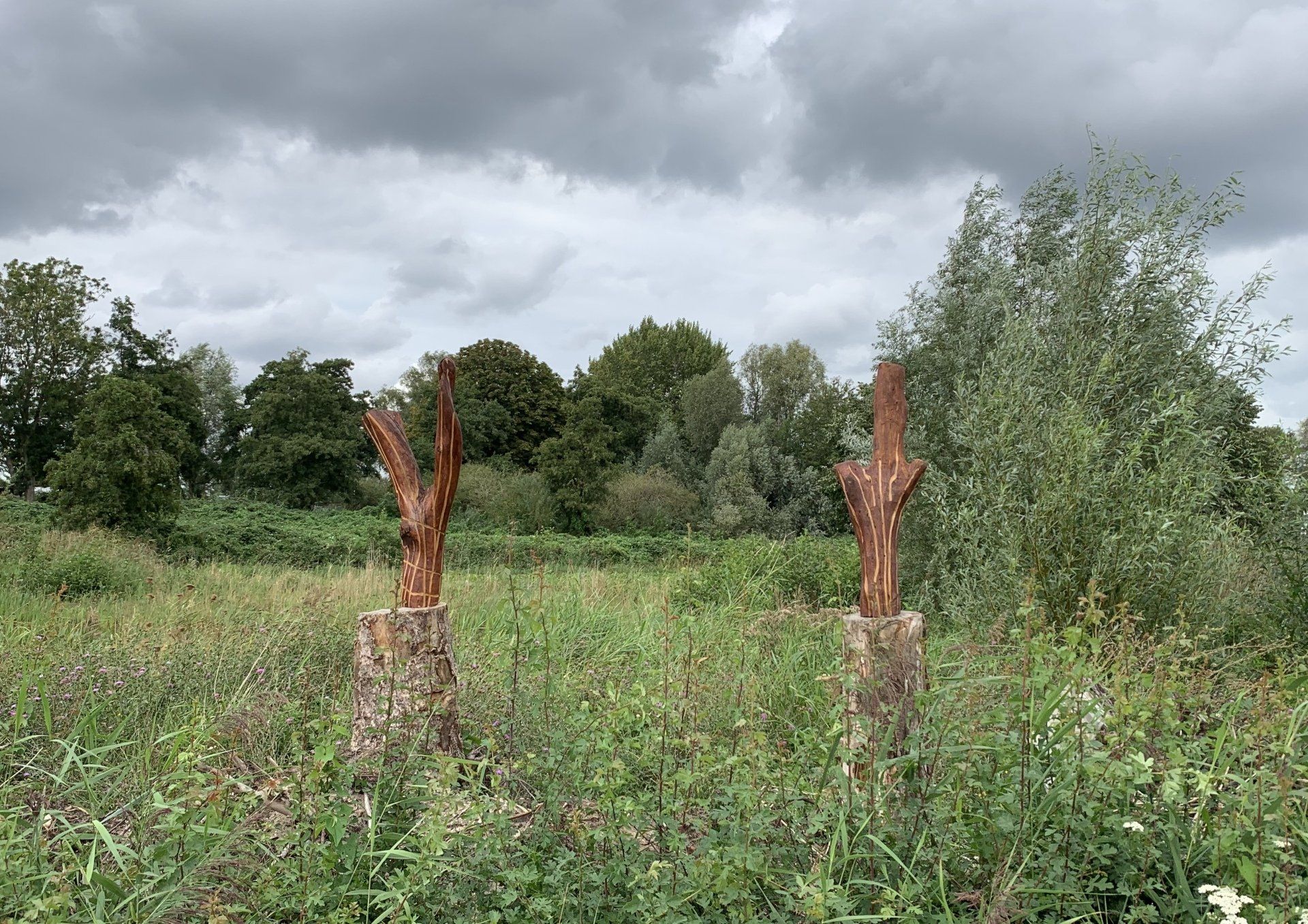 Grasveld met twee afgezaagde boomstronken onder een bewolkte hemel en bomen op de achtergrond.