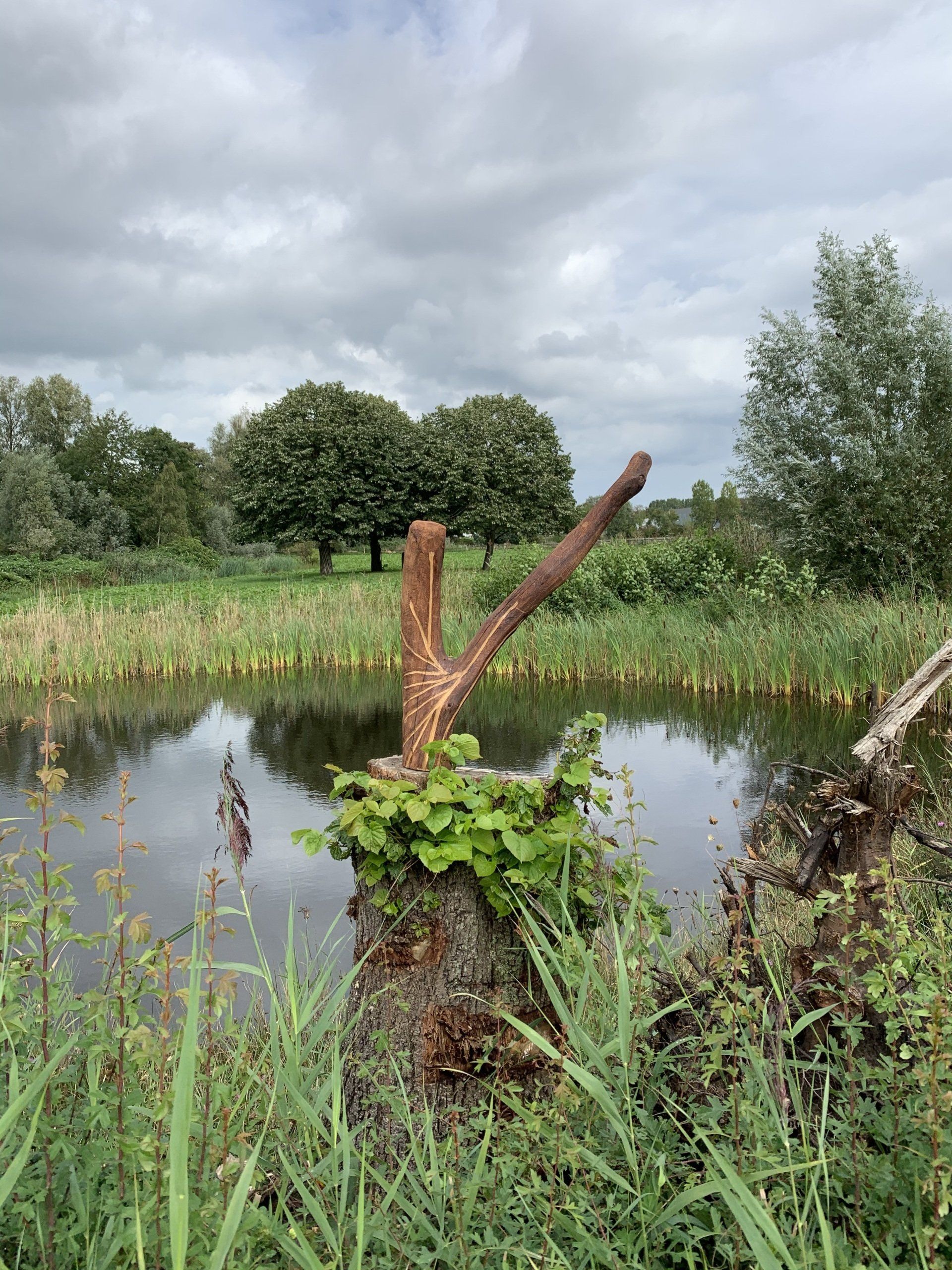 Een overwoekerde vijver met een roestige metalen paal, riet en een bewolkte hemel die in het stille water wordt weerspiegeld.