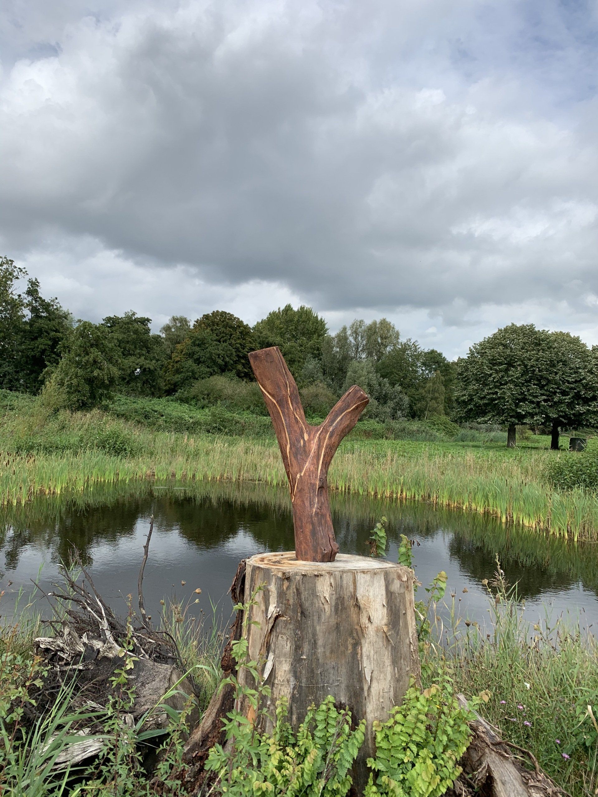 Rustieke houten sculptuur op een boomstronk naast een vijver, met een bewolkte hemel en bomen op de achtergrond.