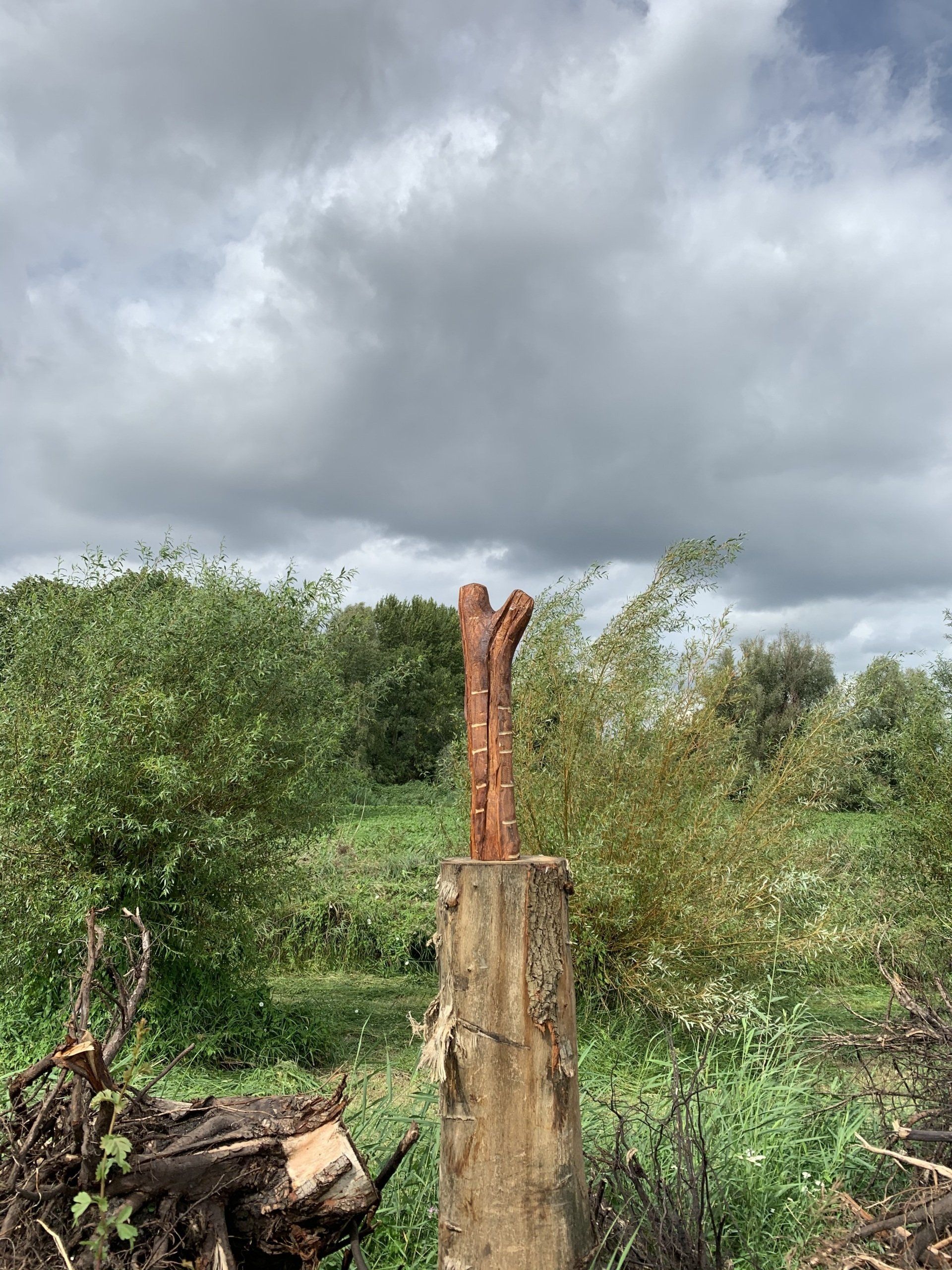 Een gebroken, verroeste metalen paal op een boomstronk in een grasveld onder een donkere, bewolkte hemel.