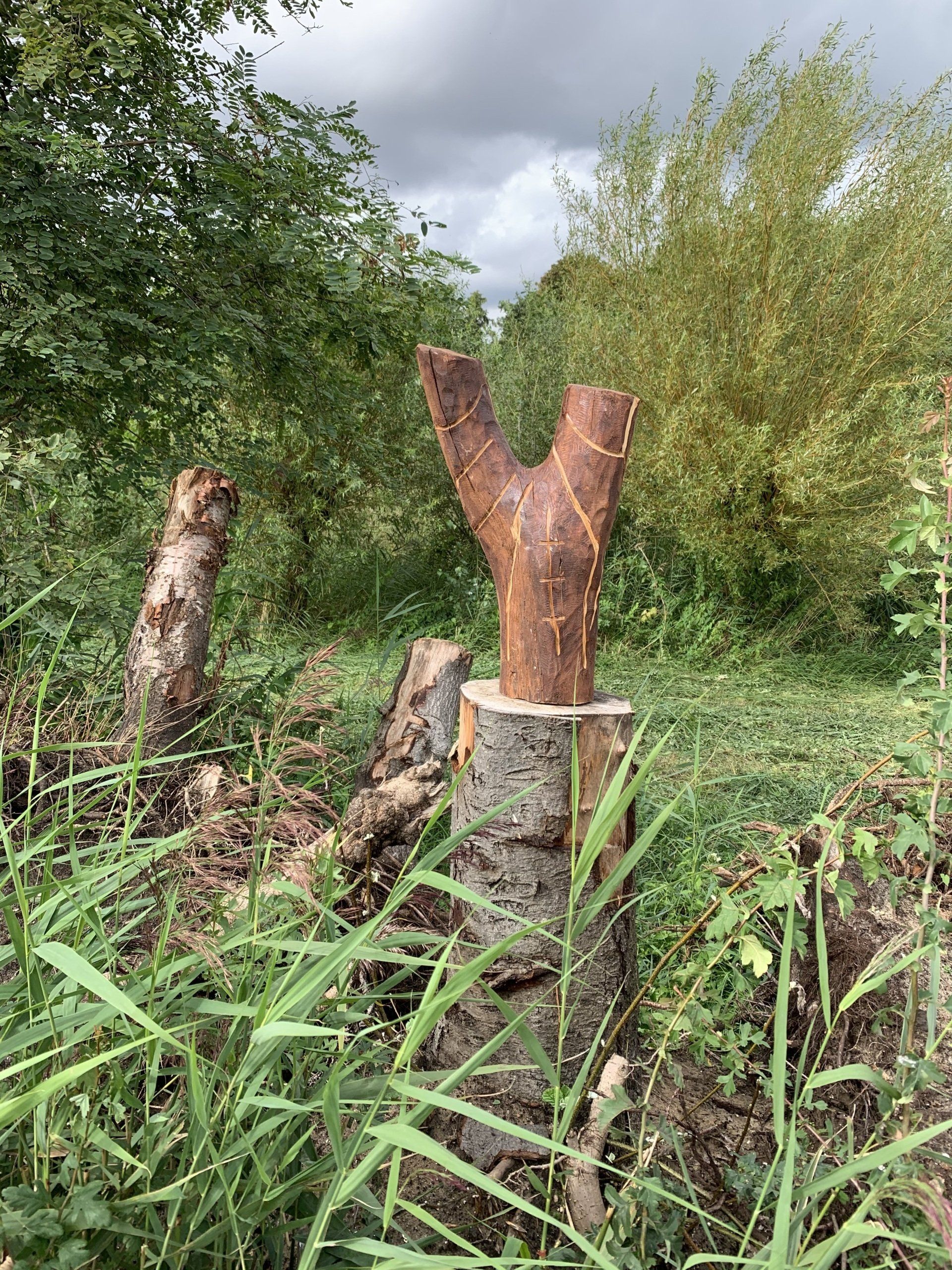 Zaag boomstammen en stronken af ​​in een grasveld onder een bewolkte hemel.
