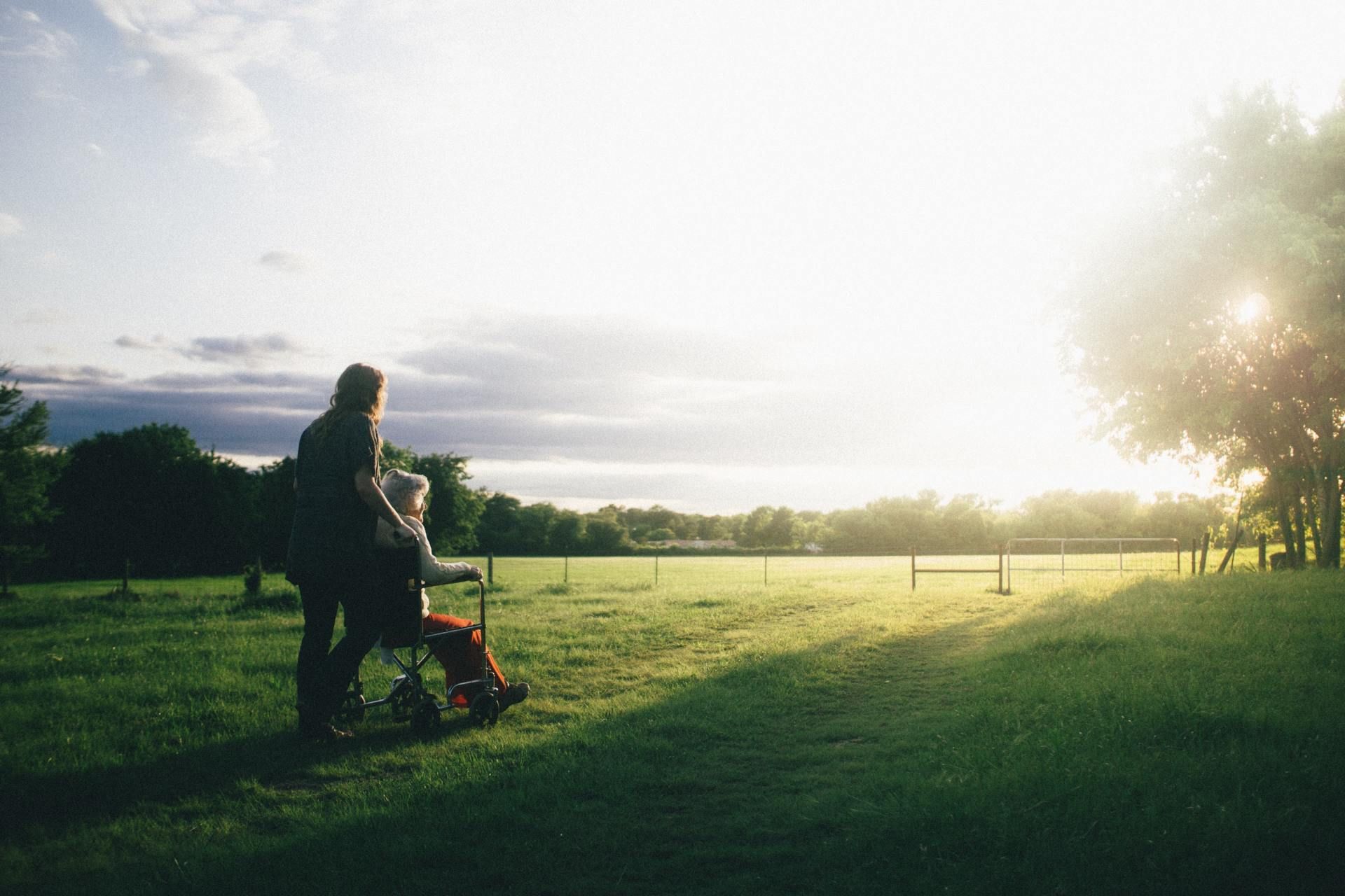 Person pushing a wheelchair in a field. Sunlight illuminates the scene with trees and a fence in the background.