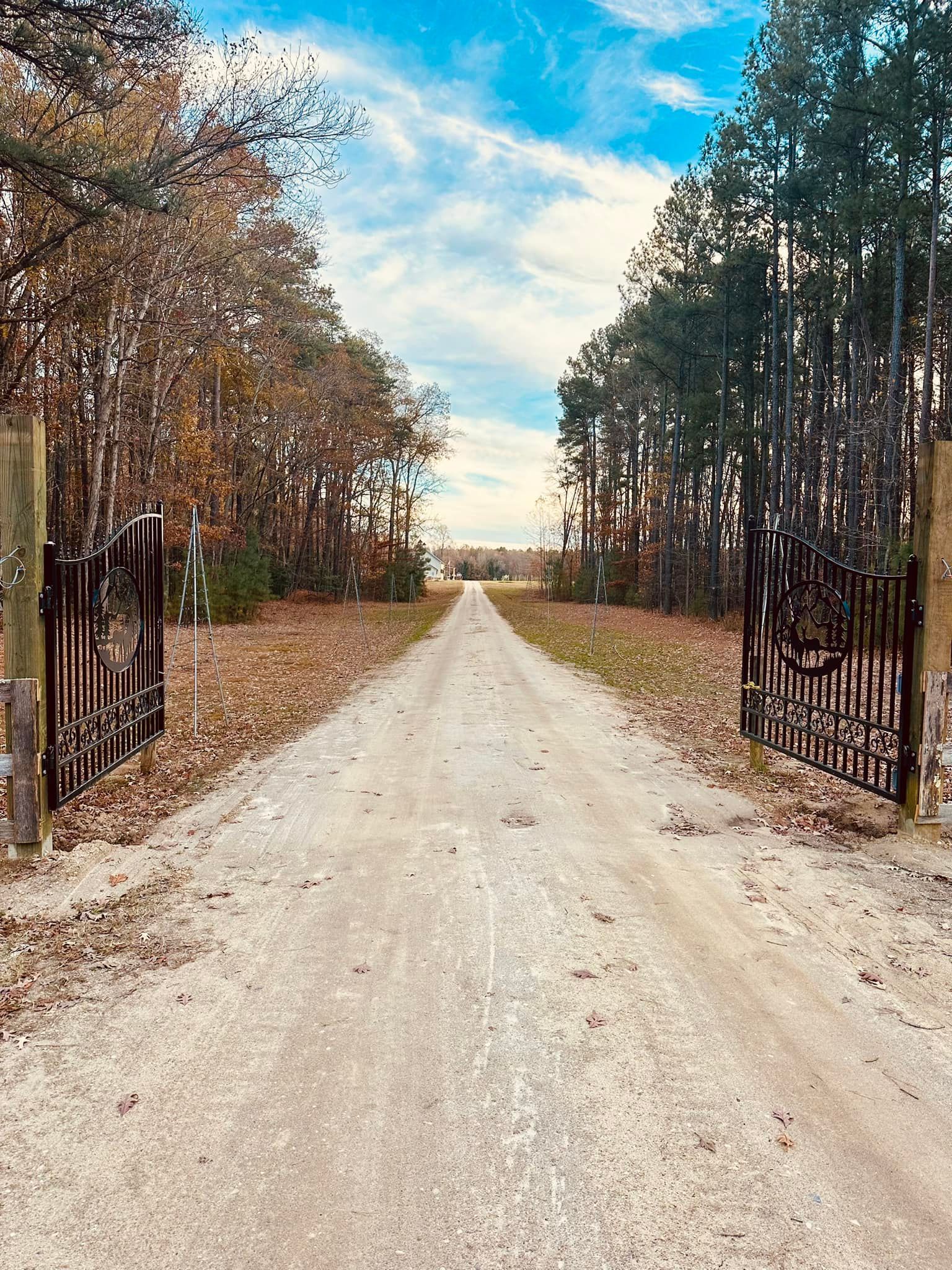 Open Iron gates and a tree lined unpaved road leading to The Barns at St Clair West