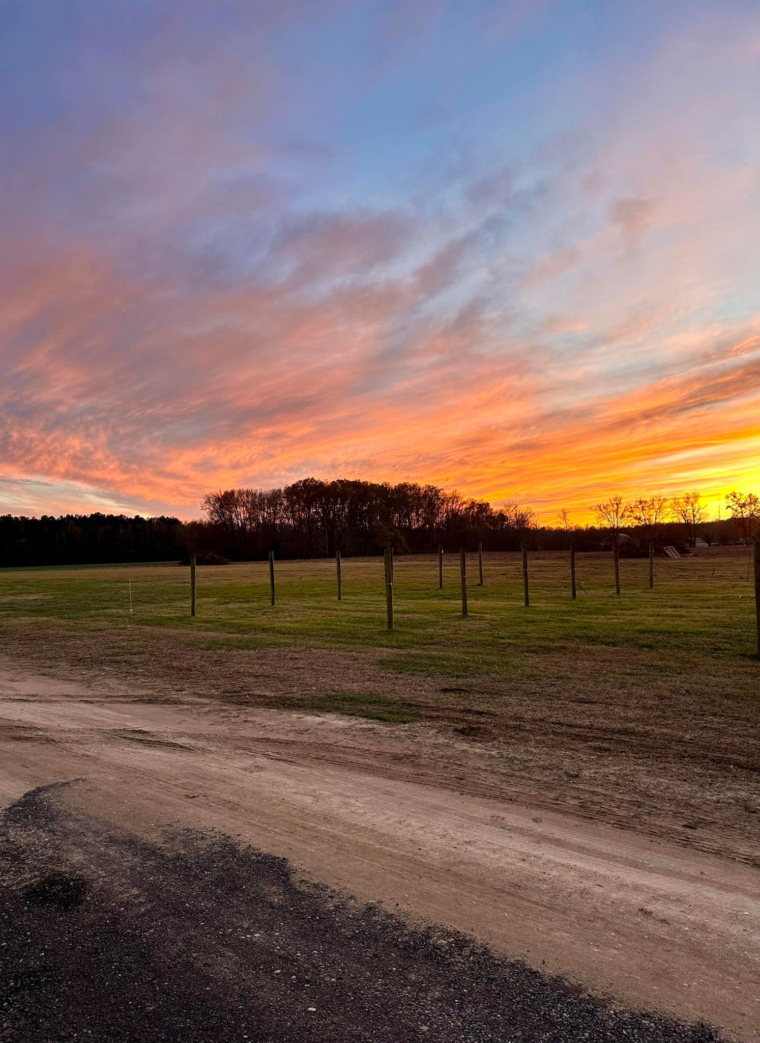 A vibrant sunset over a grassy field with a dirt road in the foreground.