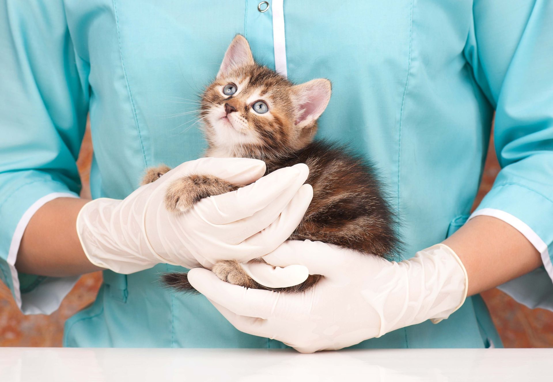 Gloved hands holding a small kitten wrapped in a white cloth against a teal shirt