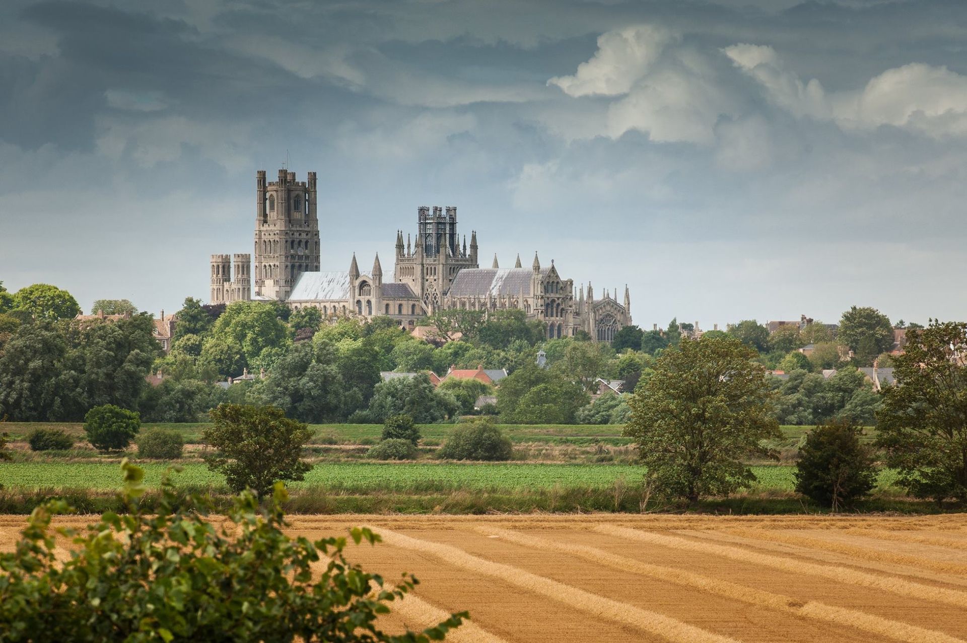 Garden Landscaper in Ely | Gardr