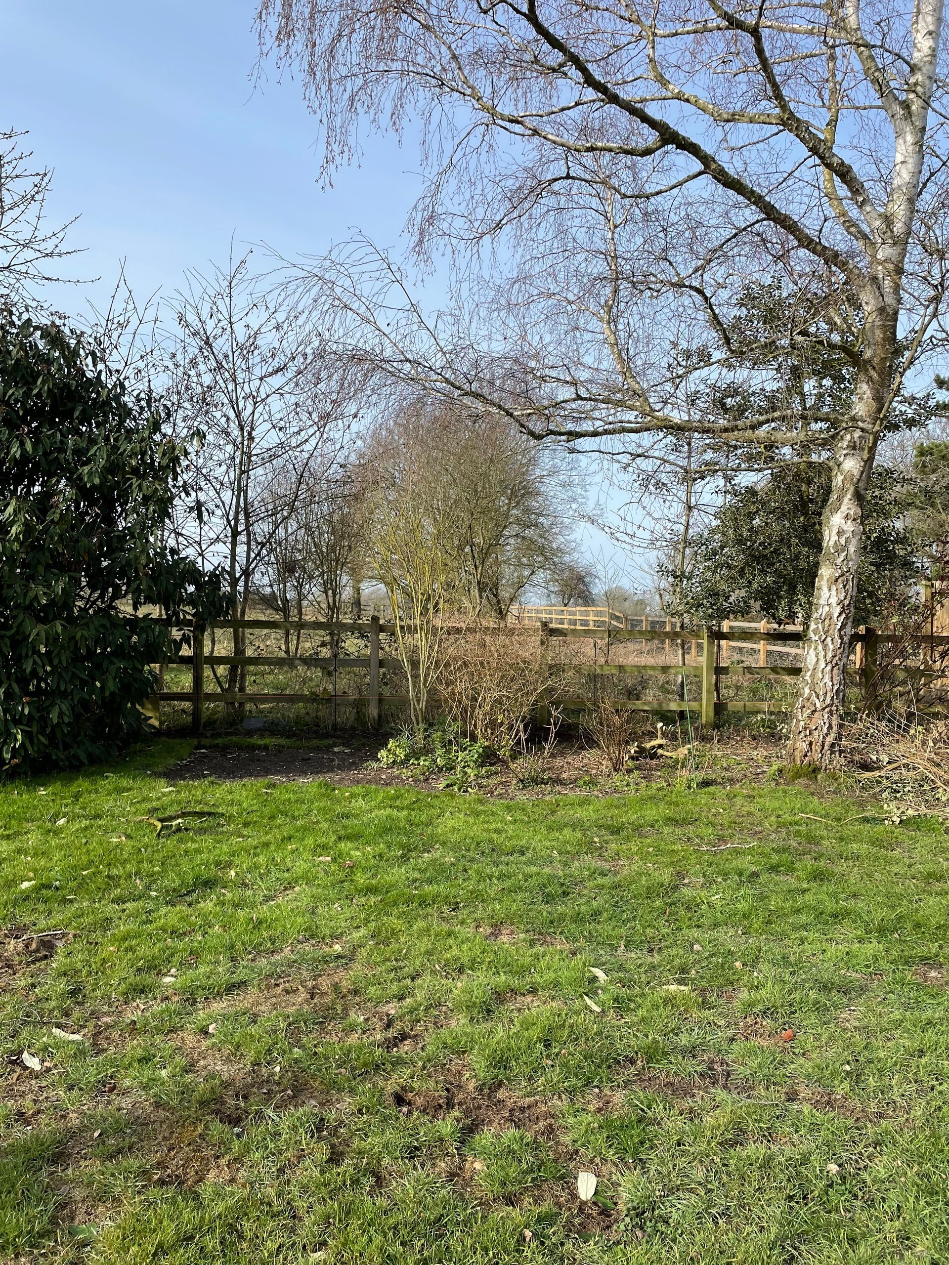 Hertfordshire Chapel Garden | Gardr | Garden Design